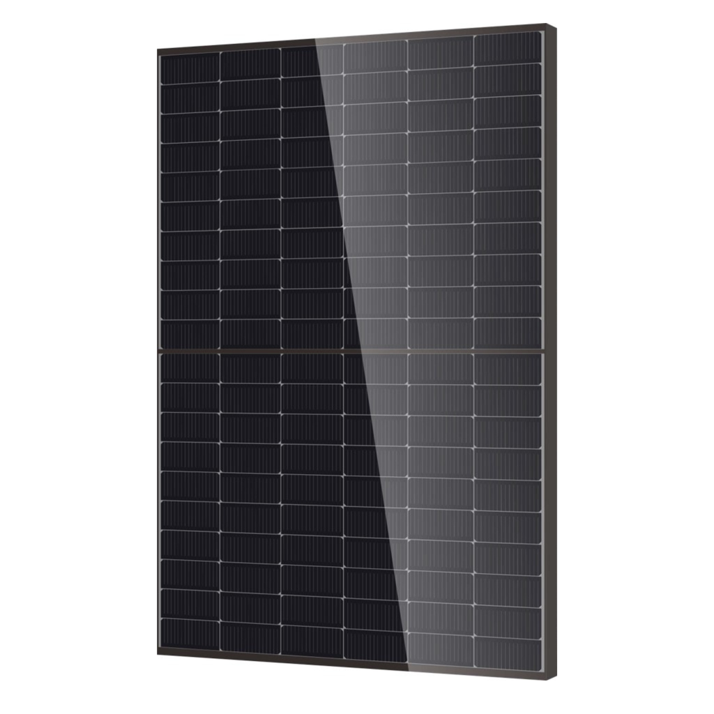 Module DMEGC N-Type bifacial & bi-verre cadre noir 500Wc - DM500M10RT-B60HBT