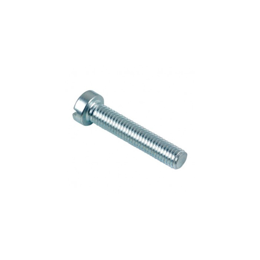 Vis à métaux TC fendue 6 x 16 - (le  200) / VMCF0601602B